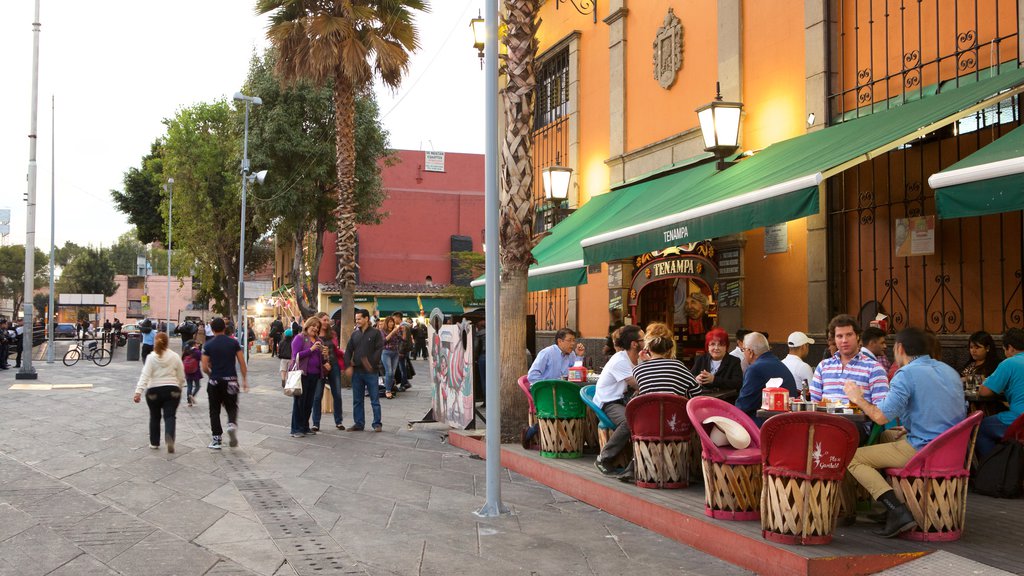 Mexico City featuring café scenes and a square or plaza