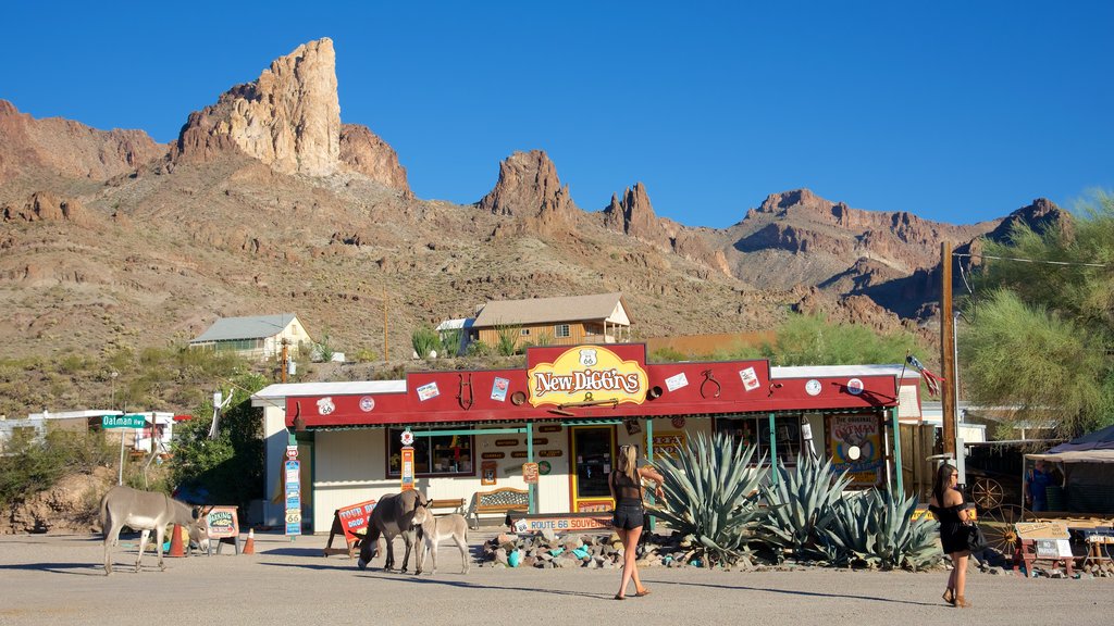 Oatman mostrando cenas de rua e paisagens do deserto