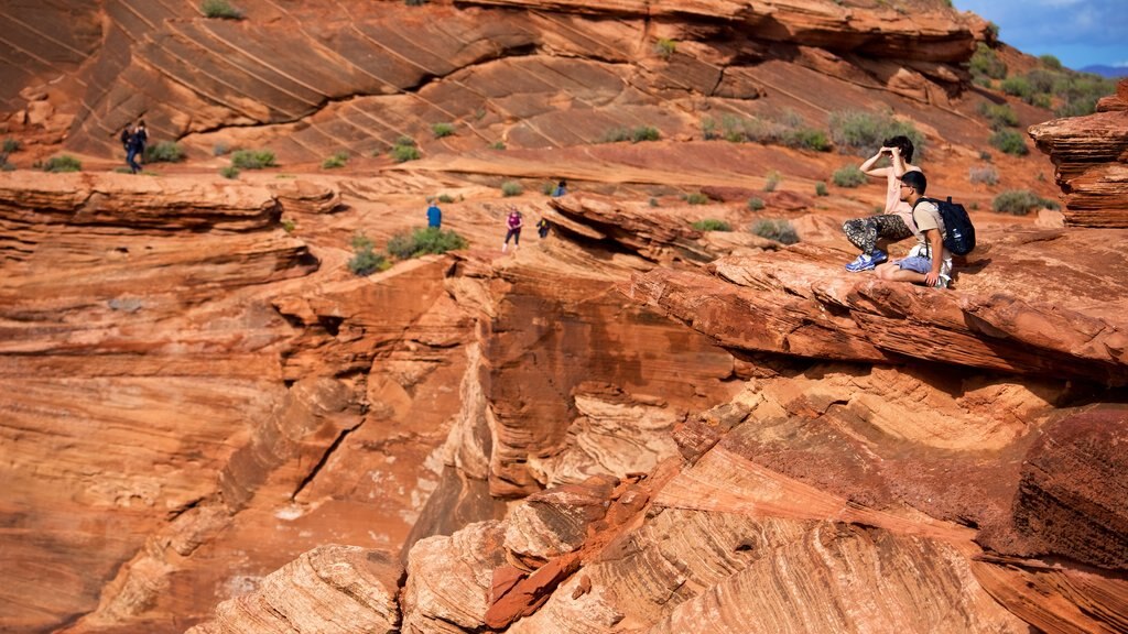 Horseshoe Bend featuring desert views