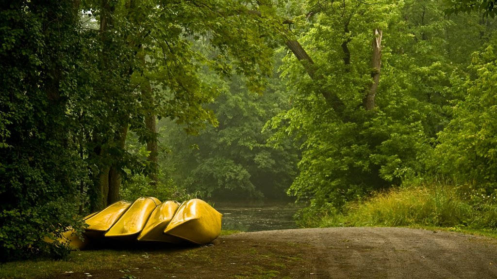 Peterborough showing kayaking or canoeing and forest scenes