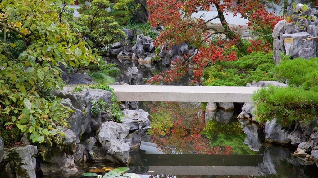 Dr. Sun Yat-Sen Classical Chinese Garden caracterizando um parque e um lago