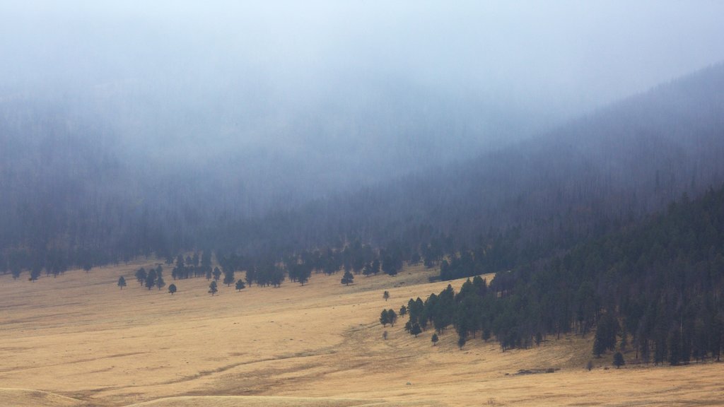 Jemez Springs ofreciendo neblina o niebla, montañas y tierras de cultivo