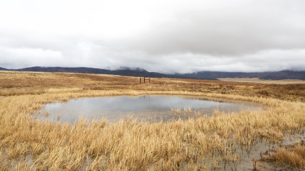 Jemez Springs que incluye niebla o neblina, un estanque y escenas tranquilas