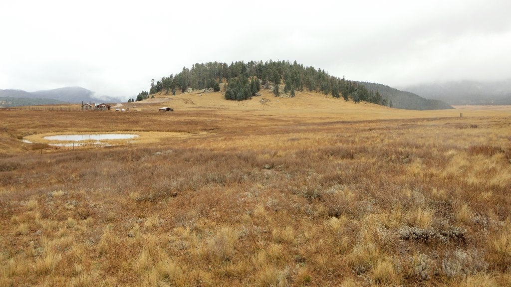 Jemez Springs som inkluderar stillsam natur och dimma