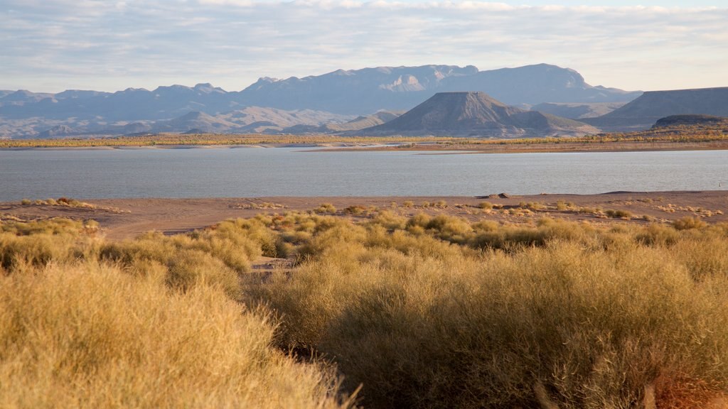 Elephant Butte fasiliteter samt innsjø og rolig landskap