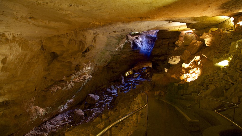 Carlsbad Cavernsin kansallispuisto joka esittää luolat