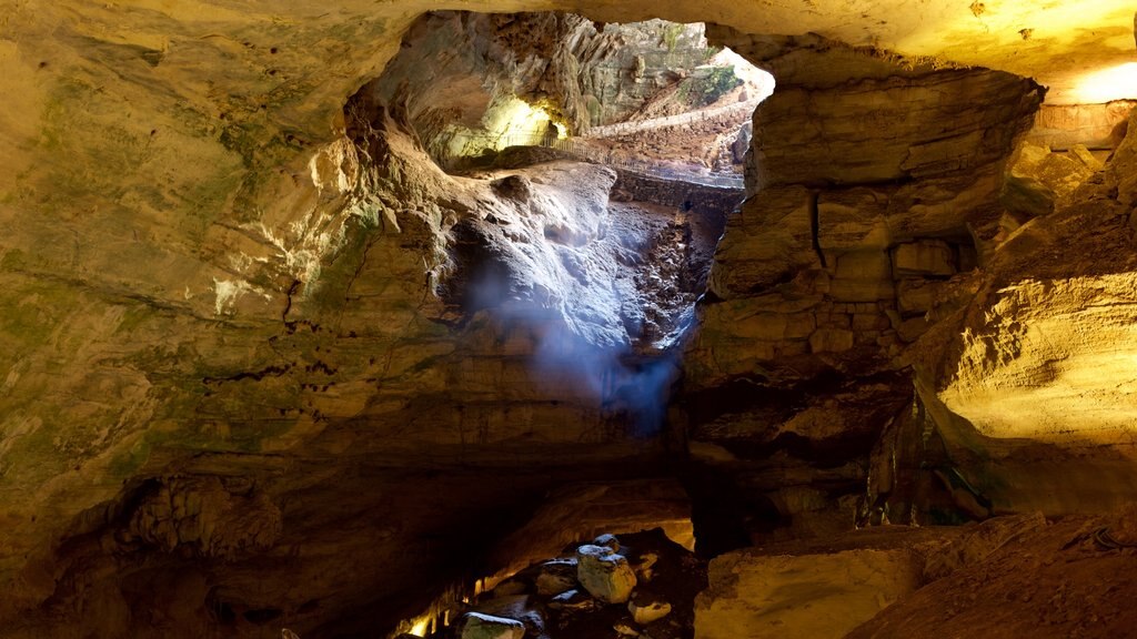 Carlsbad Caverns Nationalpark som viser huler