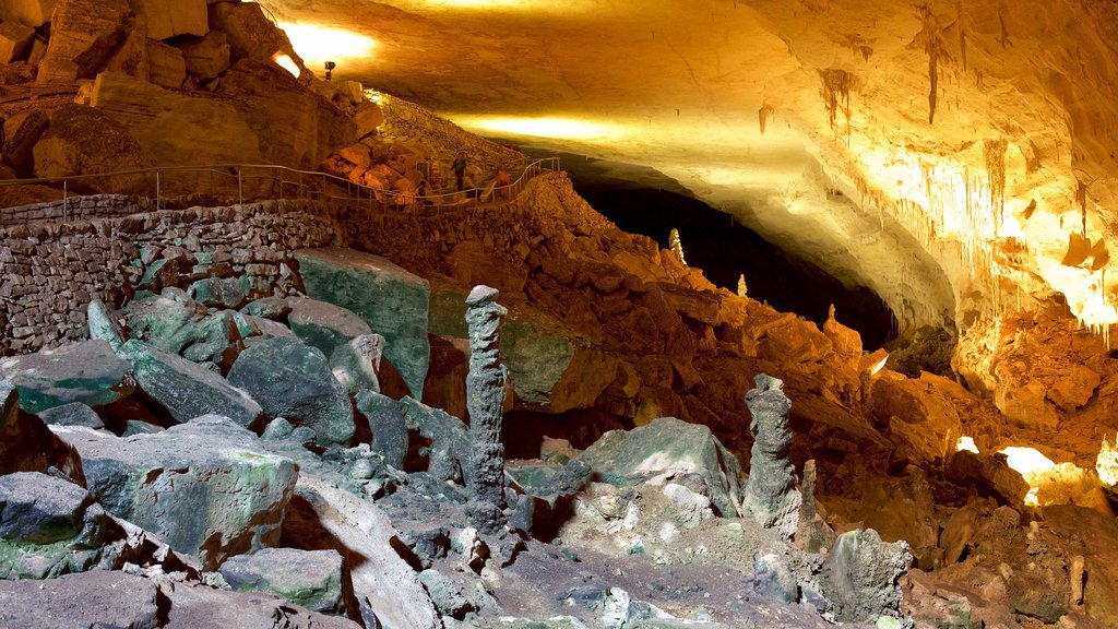 Parque Nacional de Carlsbad Caverns mostrando cavernas