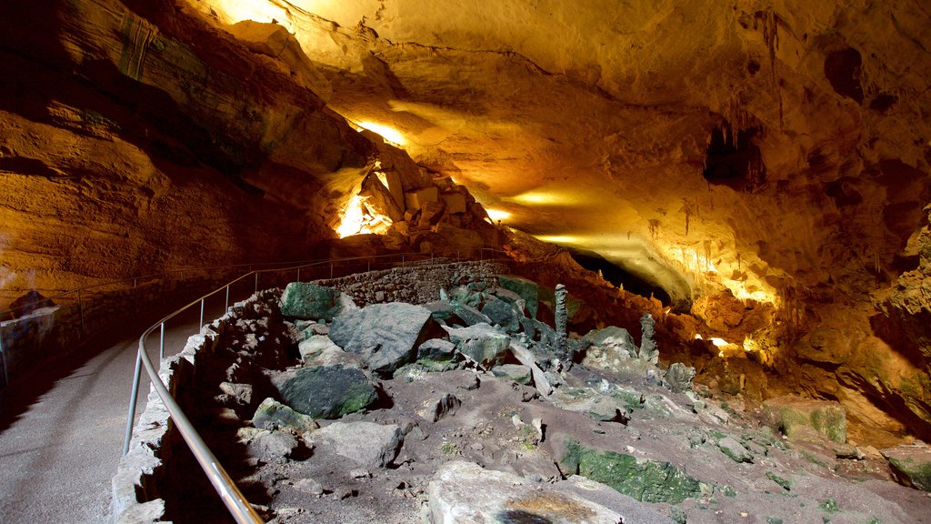 Parque Nacional de Carlsbad Caverns que inclui cavernas