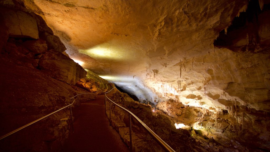 Carlsbad Caverns Nationalpark som viser huler