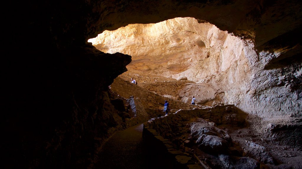 Parque Nacional de Carlsbad Caverns caracterizando cavernas