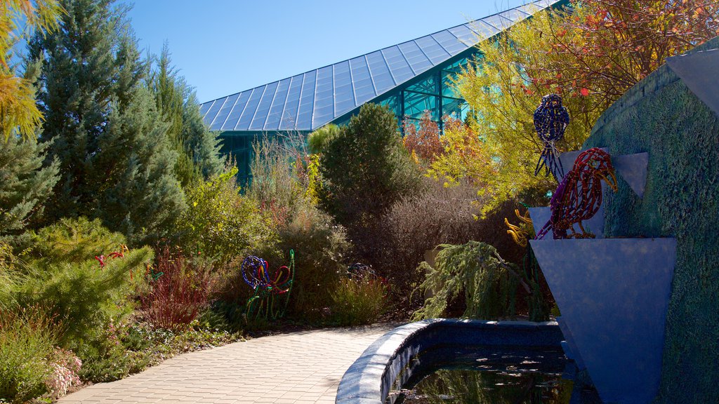 ABQ BioPark Botanic Garden showing a park