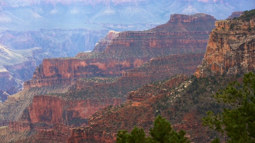 Sentier Bright Angel mettant en vedette paysages paisibles et une gorge ou un canyon