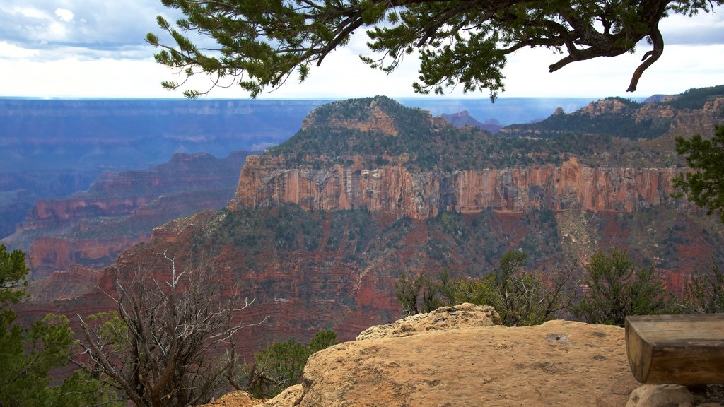 Bright Angel Trailhead which includes tranquil scenes and a gorge or canyon