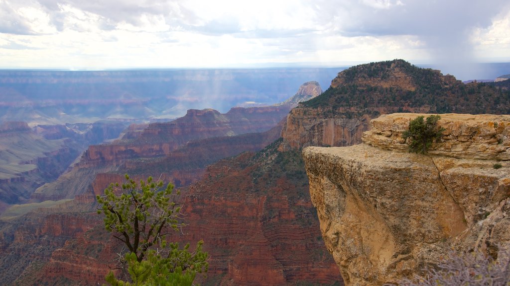 Bright Angel Trailhead showing tranquil scenes and a gorge or canyon