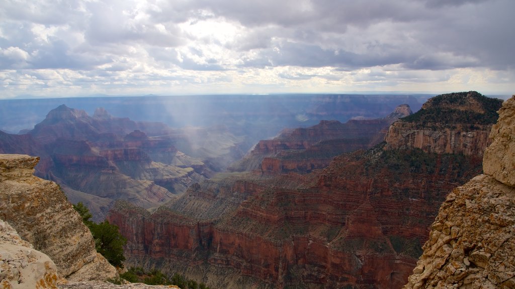 Início da Trilha do Anjo Brilhante caracterizando cenas tranquilas e um desfiladeiro ou canyon