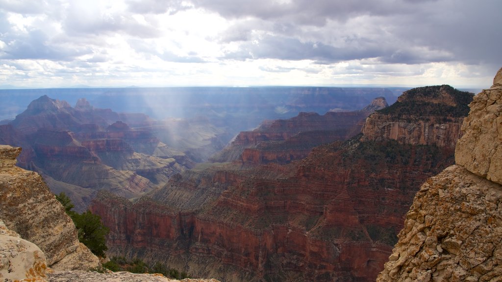 Bright Angel Trailhead featuring a gorge or canyon and tranquil scenes