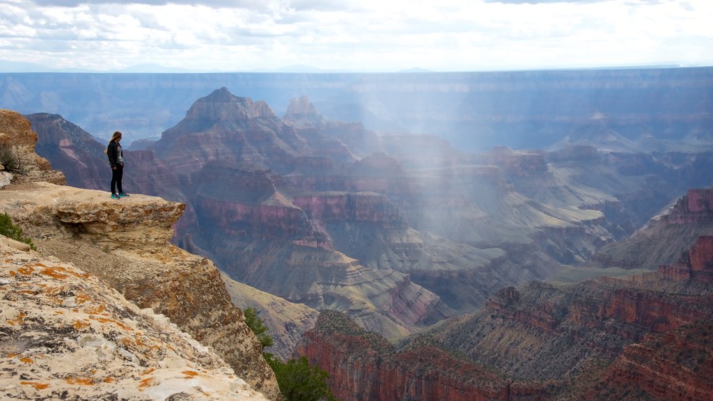 Bright Angel Trailhead featuring tranquil scenes and a gorge or canyon as well as an individual femail