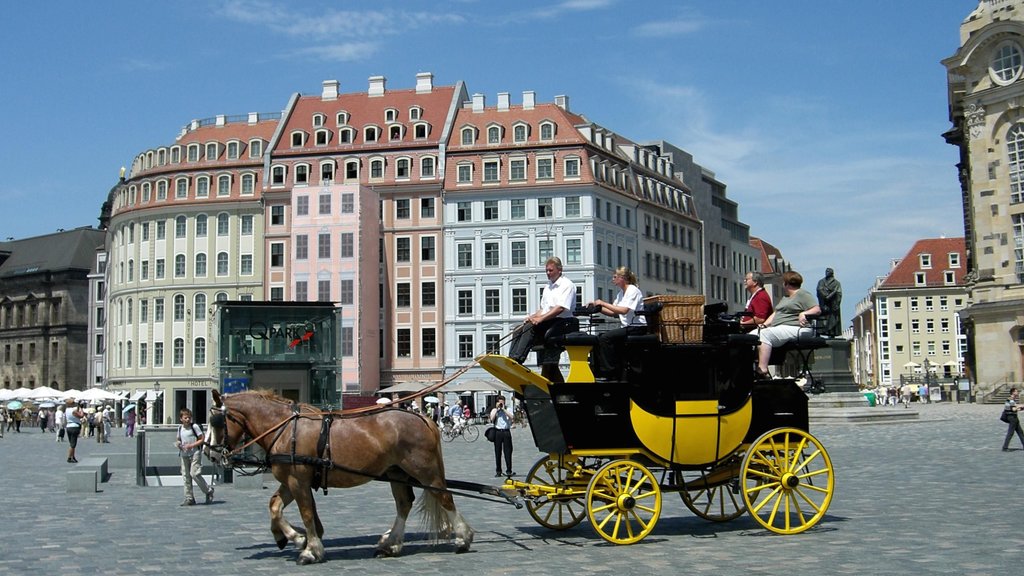 New Market Square featuring vehicle touring, a square or plaza and land animals