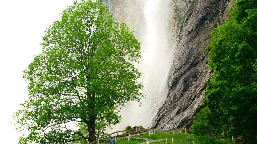 Lauterbrunnen showing farmland and a waterfall