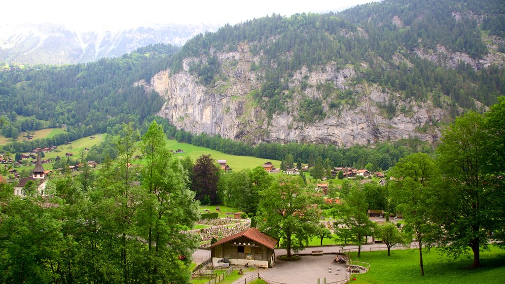 Lauterbrunnen showing landscape views and farmland