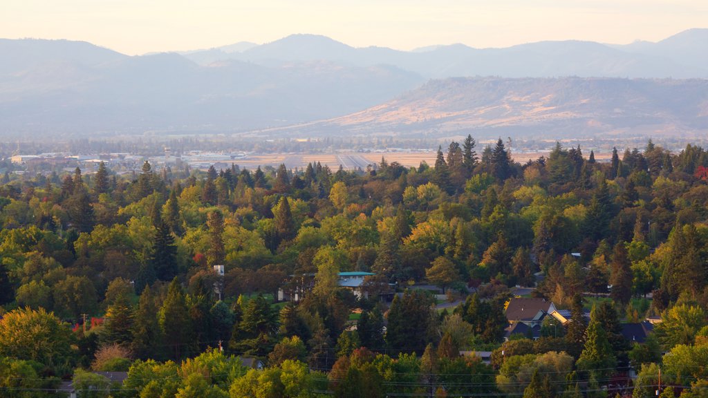 Medford mostrando vista panorámica y imágenes de bosques