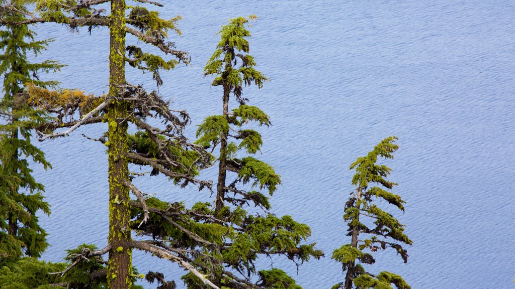 Crater Lake National Park featuring a lake or waterhole