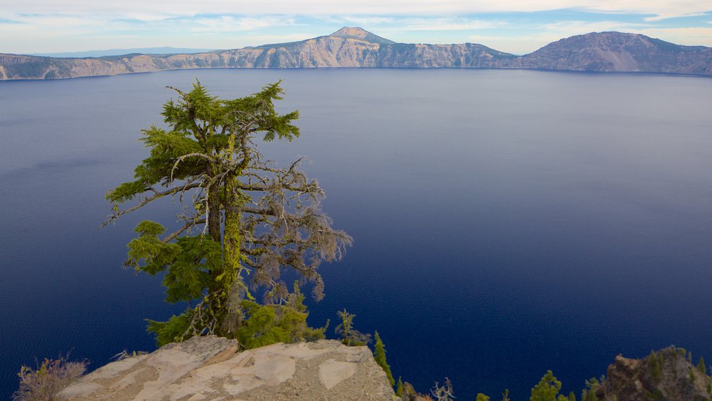 Parque Nacional Lago del Cráter ofreciendo un lago o abrevadero