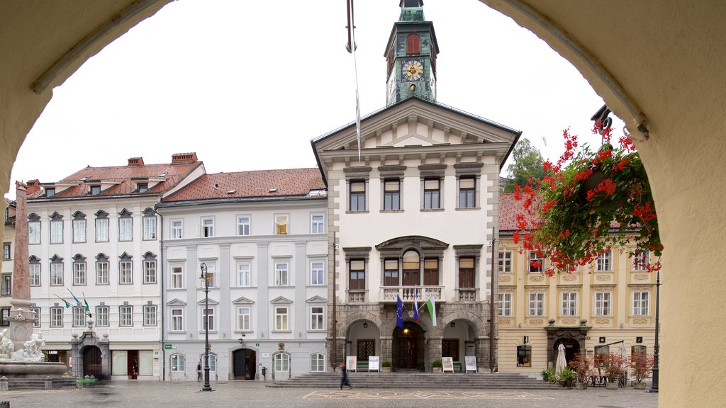 Ayuntamiento de Ljubljana que incluye un parque o plaza y una pequeña ciudad o pueblo