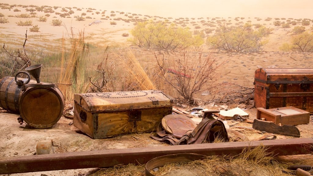 High Desert Museum showing interior views