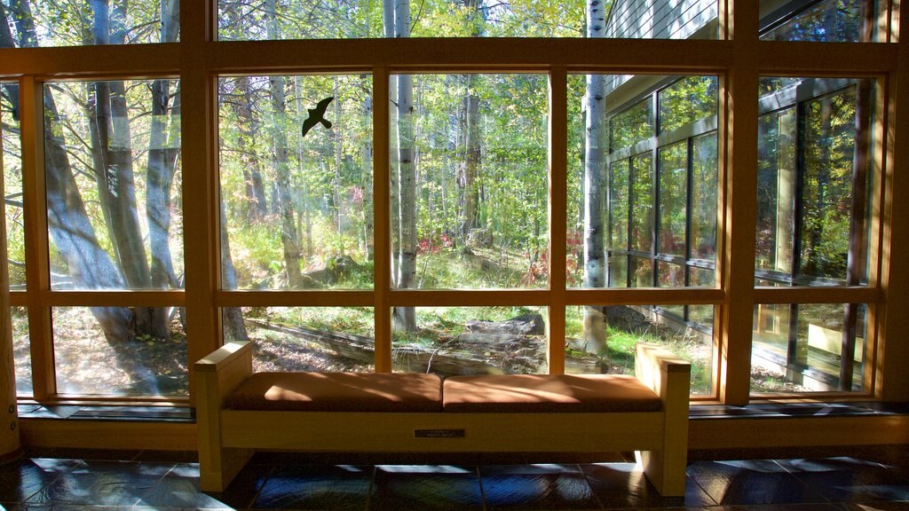 High Desert Museum featuring interior views