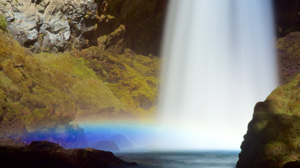 Bosque Nacional Willamette ofreciendo cataratas