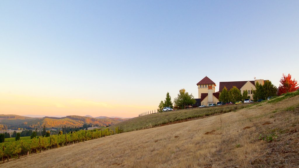 King Estate showing a house and farmland