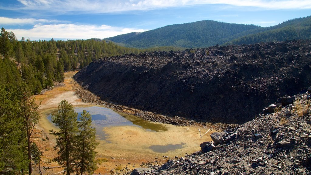 Newberry National Volcanic Monument que incluye bosques y vista panorámica