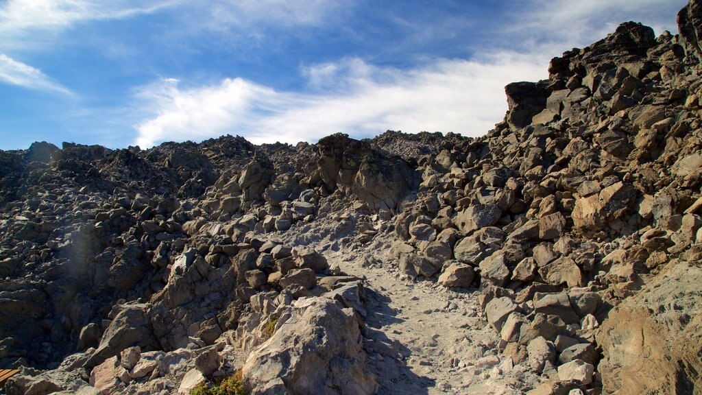 Newberry National Volcanic Monument which includes tranquil scenes