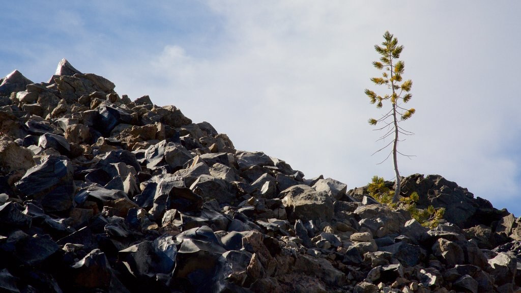 Newberry National Volcanic Monument ofreciendo escenas tranquilas