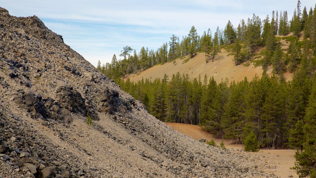 Newberry National Volcanic Monument mostrando escenas tranquilas y bosques