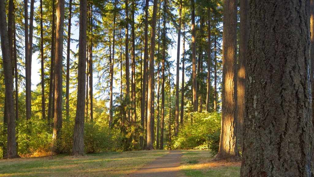 Hendricks Park featuring forest scenes and a garden