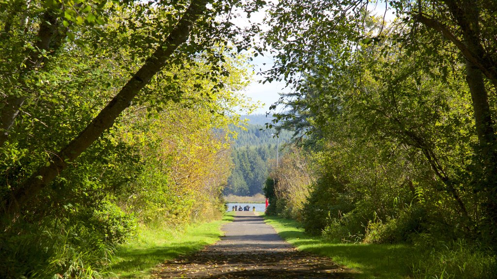 Devil\'s Lake State Recreation Area toont bos en een park