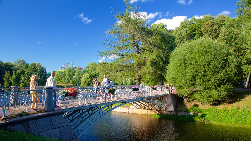 Tauride Palace showing a bridge, a pond and a garden