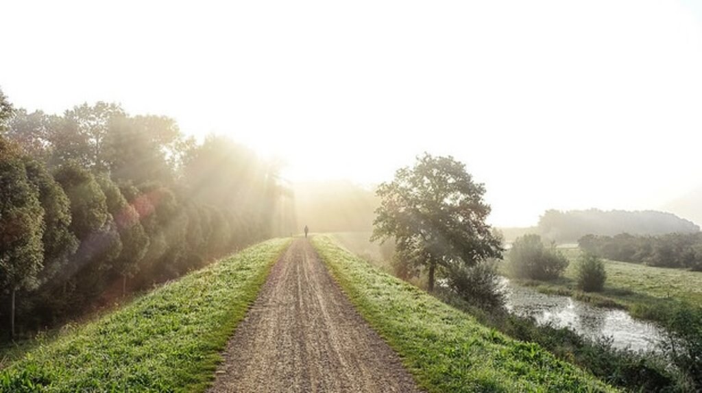 gelderland_lente_neerijnen.jpg