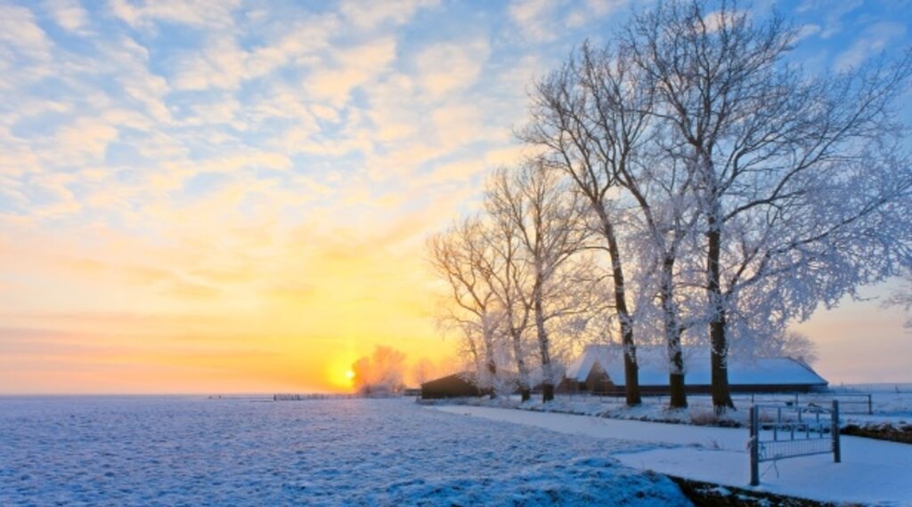 friesland_-_winter_landscape.jpg