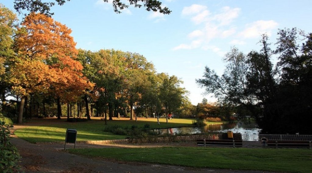 eindhoven_herfst_stadswandelpark.jpg