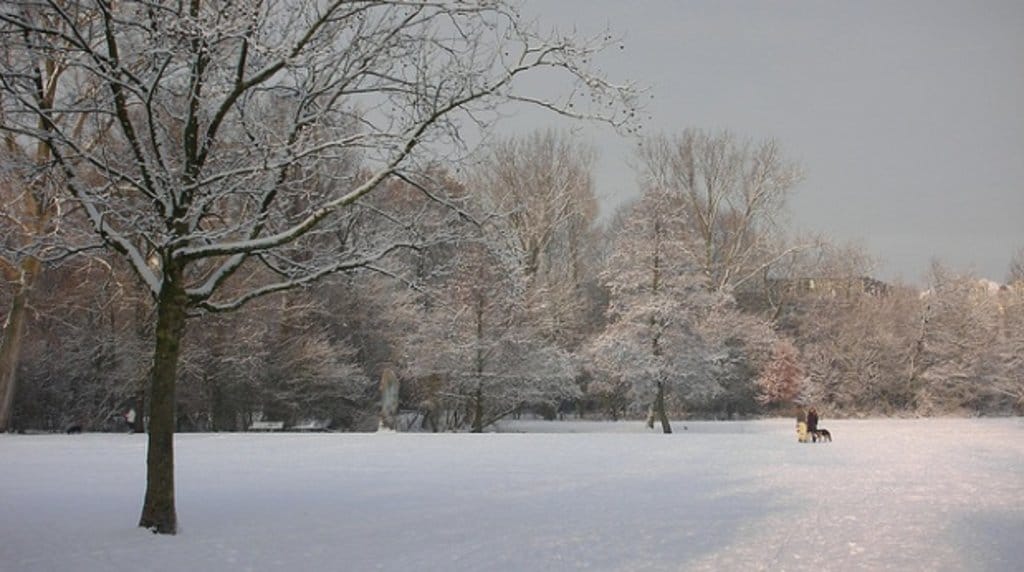 amsterdam_winter_vondelpark.jpg