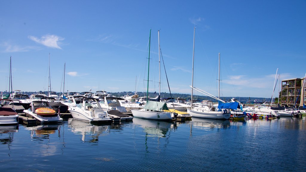 Marina Park caracterizando canoagem, paisagens litorâneas e vela