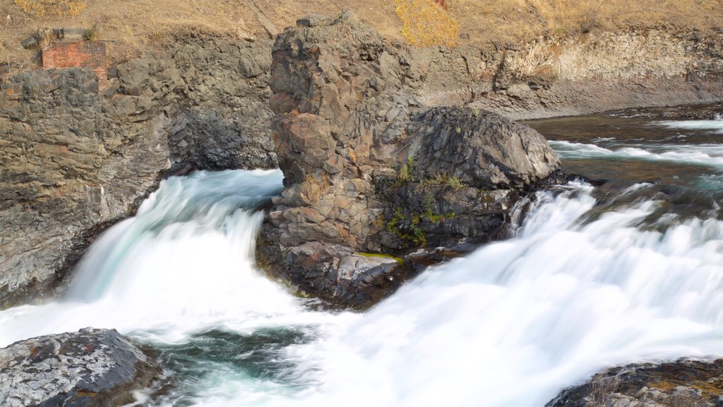 Riverfront Park showing rapids