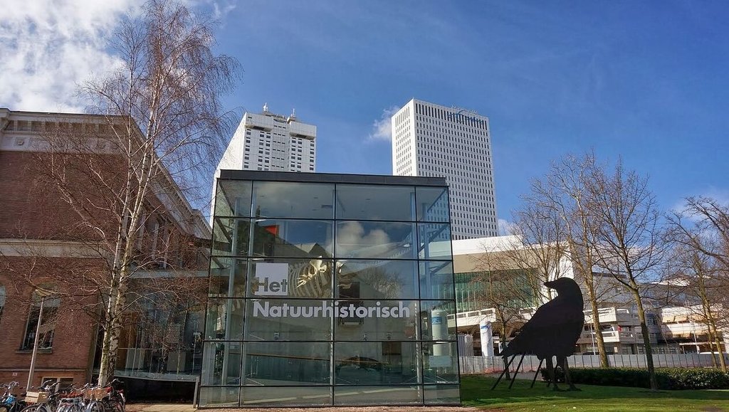 Rotterdam Natuurhistorisch Museum_CC.jpg