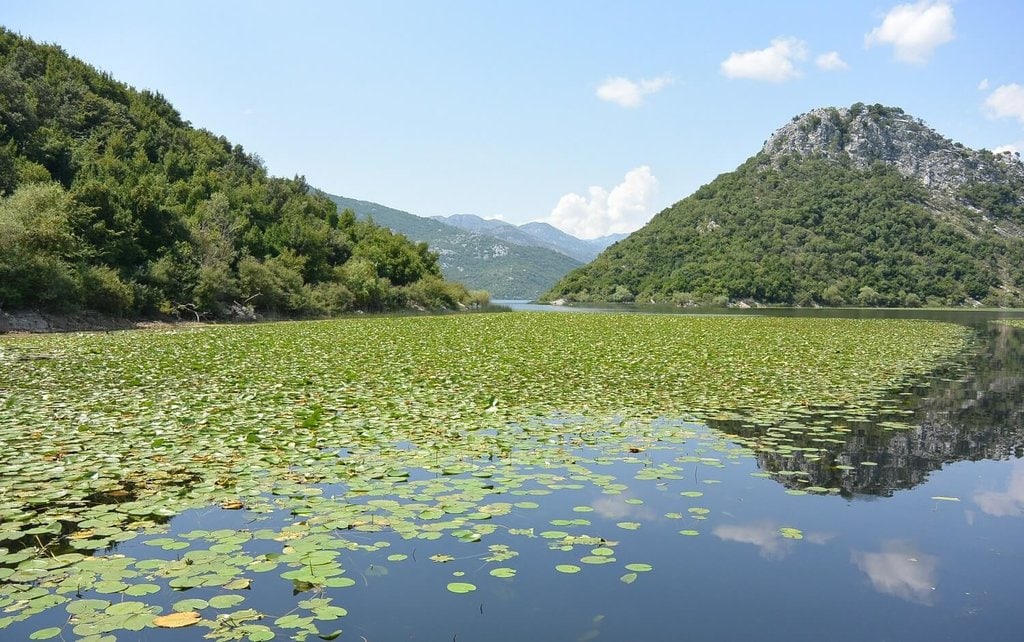 Montenegro-Skadar-lake_Pixabay.jpg