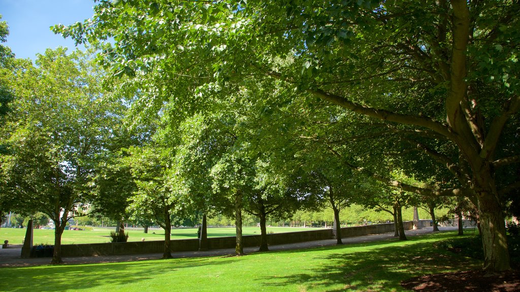 Downtown Park which includes a garden