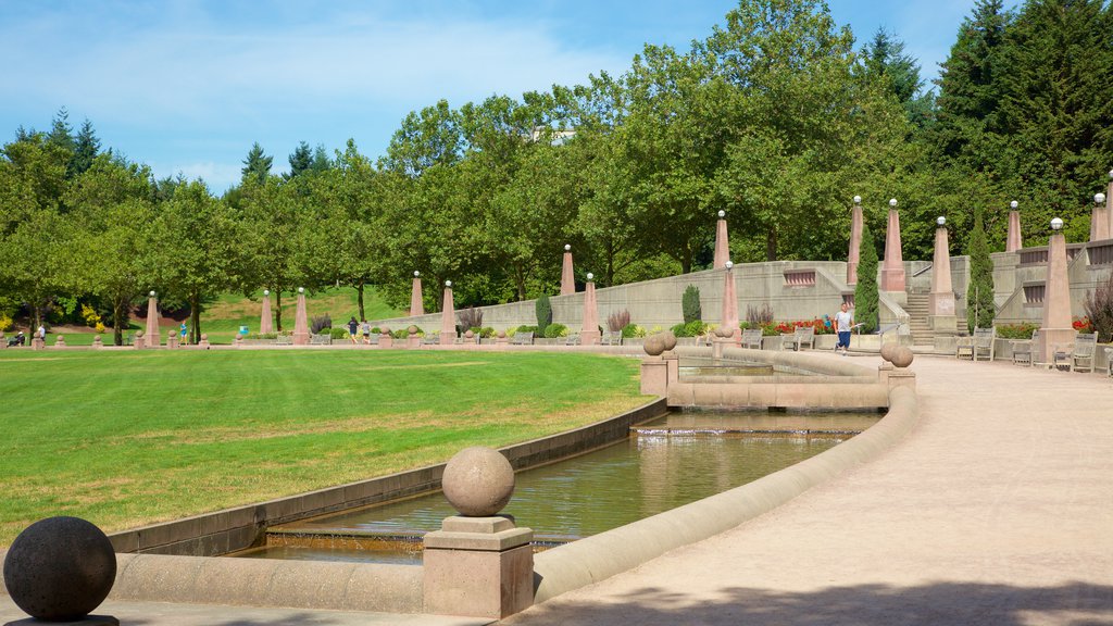 Downtown Park featuring a garden